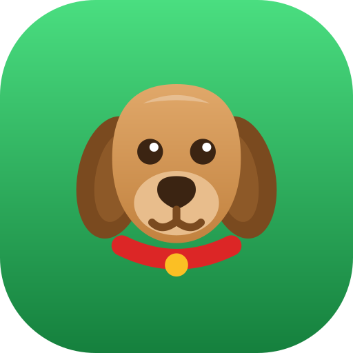 Peluquería Canina Prueba