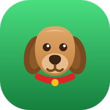 Peluquería Canina Prueba
